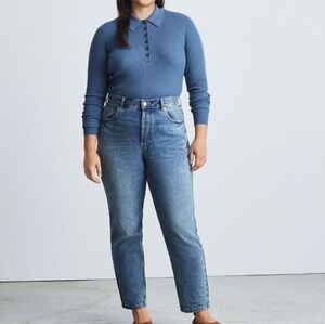 Everlane The Curvy 90s Cheeky Straight Jeans Size 33 Crop